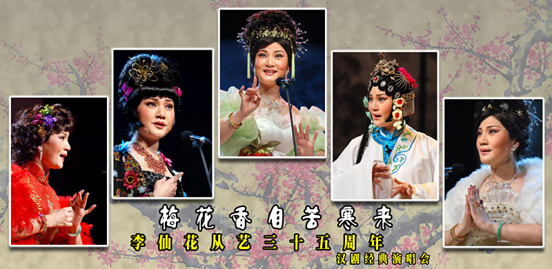 李仙花汉剧演唱会 摄影 综艺之光