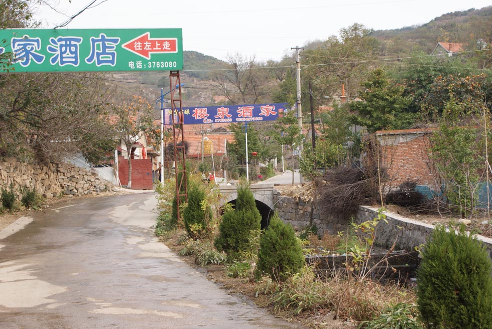 新农村--新景像 摄影 山连海