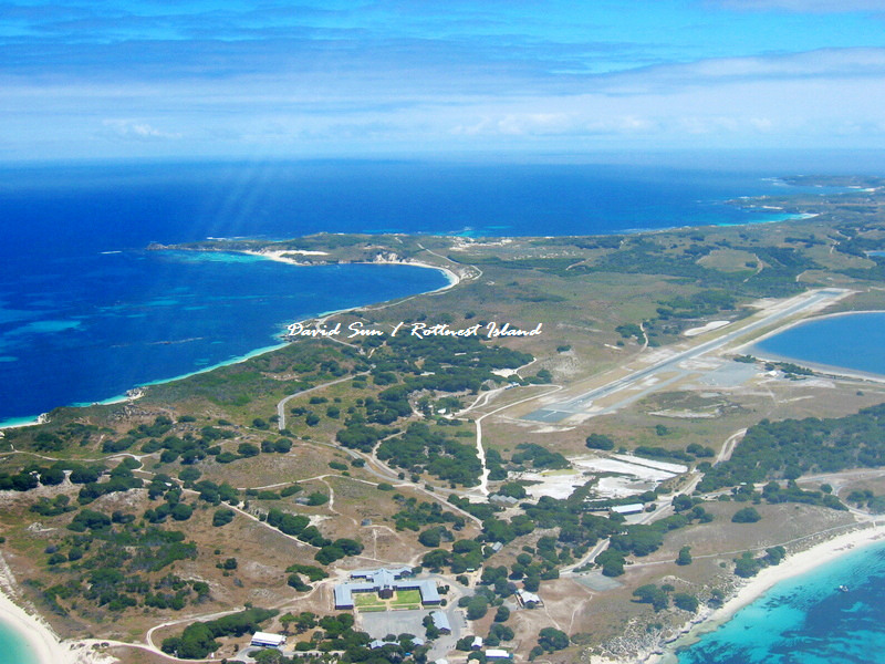 Rottnest岛全景 摄影 不是牛仔也忙