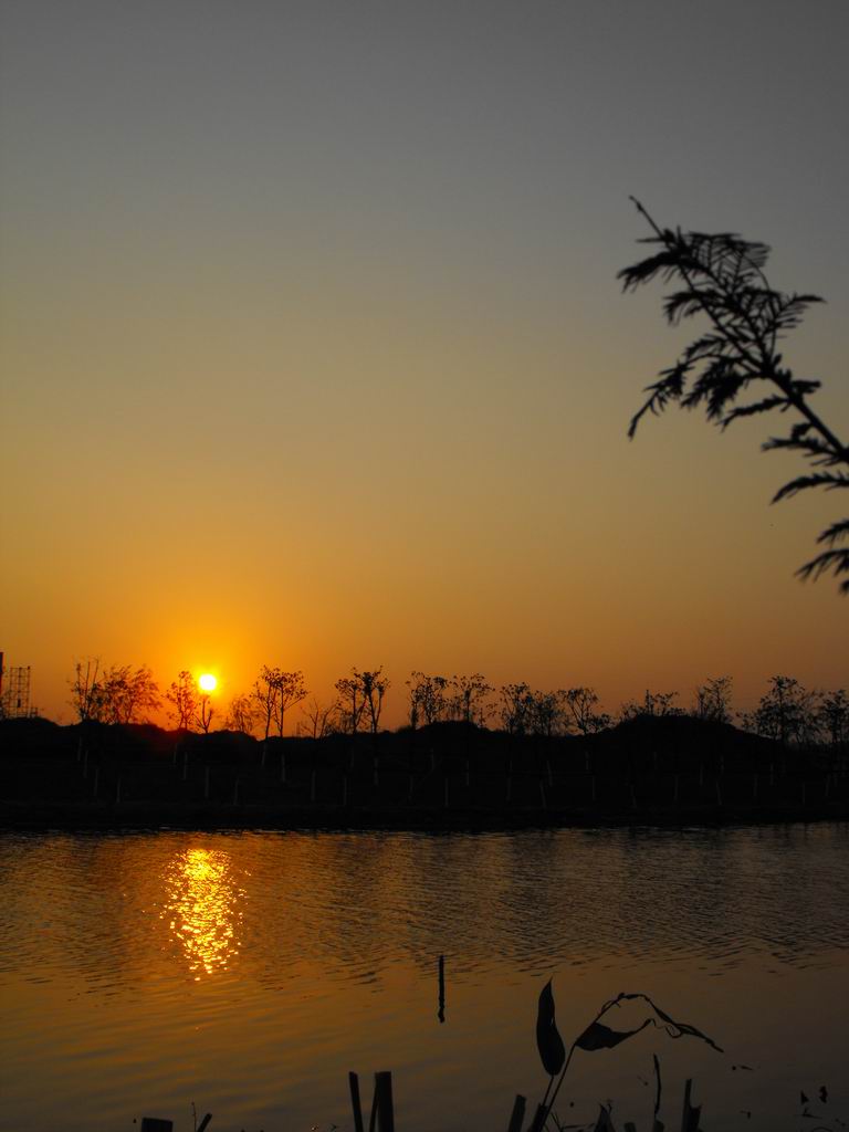 夕阳 摄影 老朱在宁波