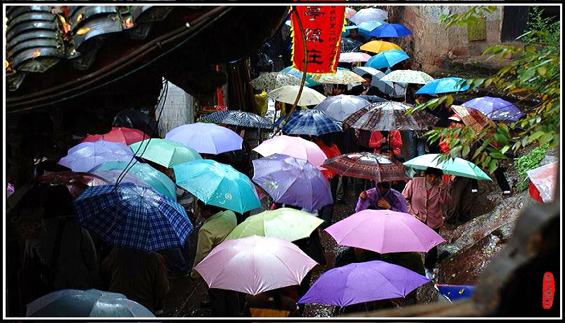 雨中伞景 摄影 枫林叶