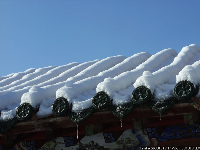 雪后屋檐 摄影 杯莫停