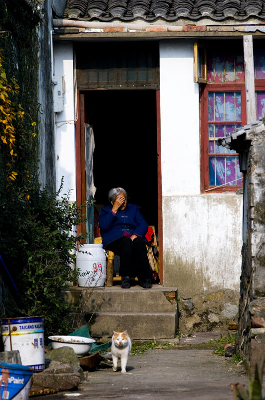 老人与猫 摄影 景色