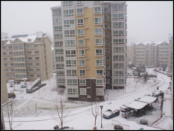 2008年的第一场雪 摄影 山连海