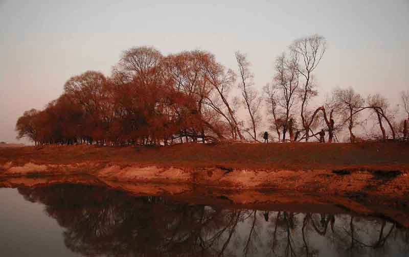 岳阳钱粮湖湿地保护区 摄影 蚂蚁616