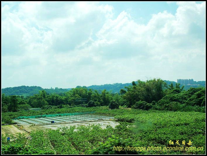 宝岛纪行——农村 摄影 红戈