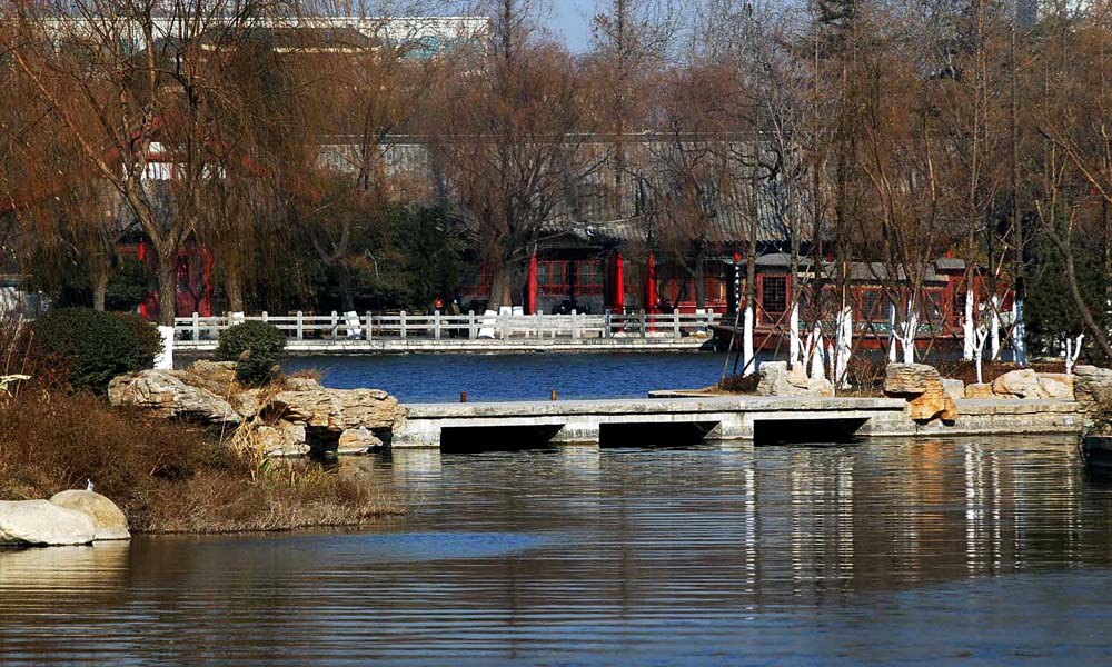 大明湖新景 摄影 莱州人