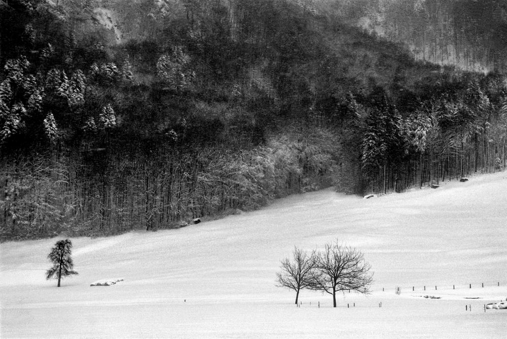 雪意 摄影 长岛