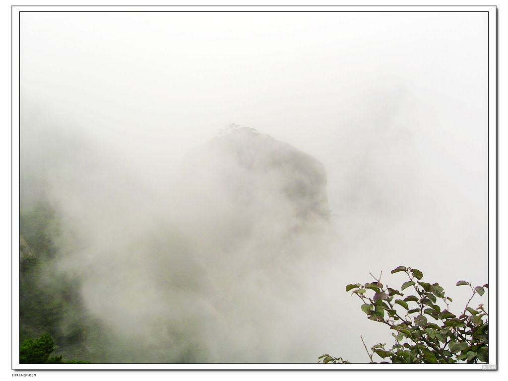 黄山云海 摄影 黄大地