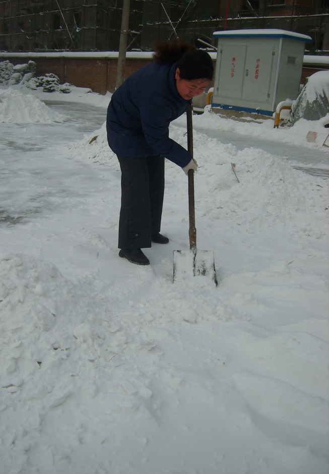 除雪 2 摄影 渤海红柳