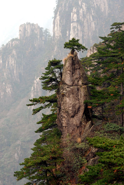 黄山小景 摄影 淮上老兵