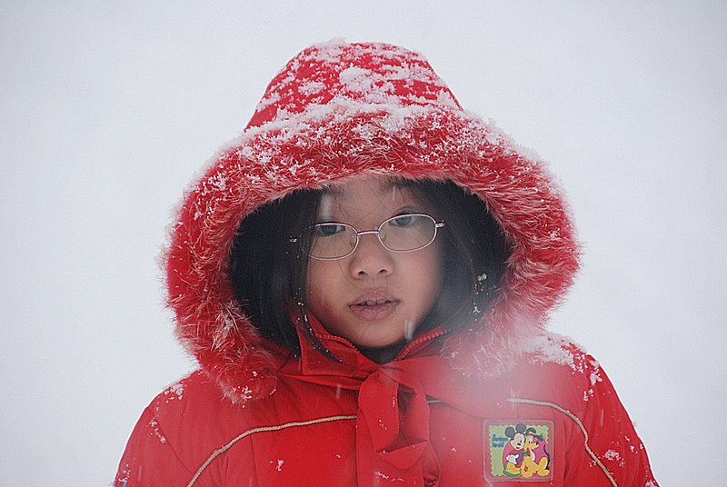 下雪了 摄影 seattle