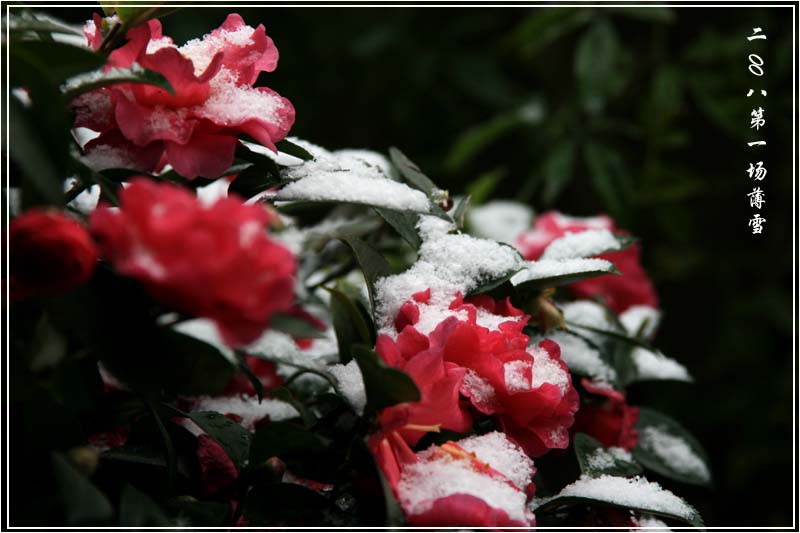 薄雪 摄影 风卷云舒