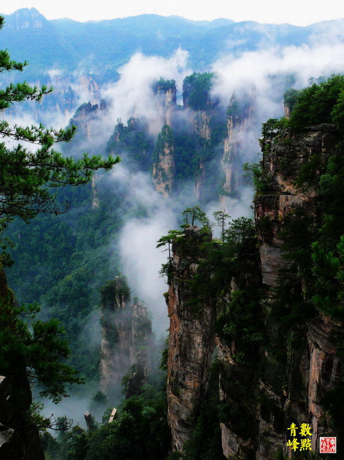 青峰数点 摄影 闽山茶客