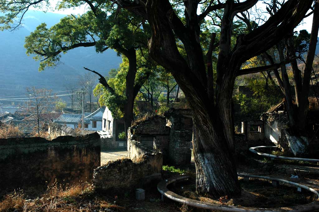 举 人村 摄影 离合器