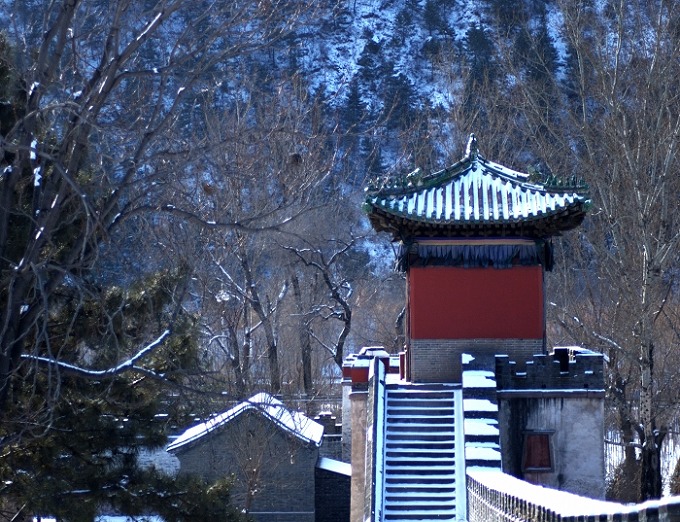 雪后 摄影 摄猎