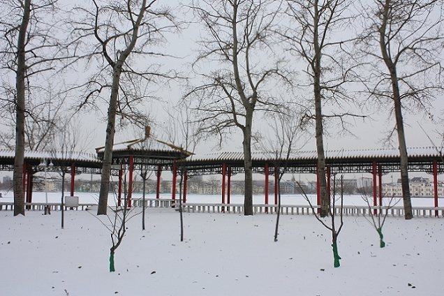 水上雪景（十一） 摄影 锦绣江山