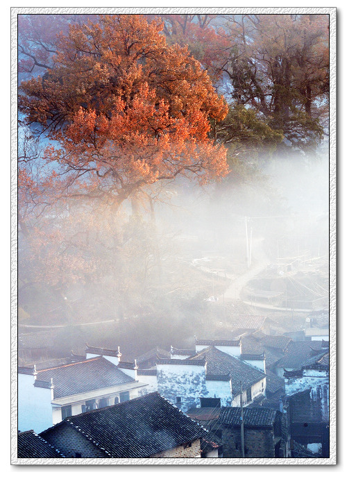 雾里山村 摄影 尹湖之春