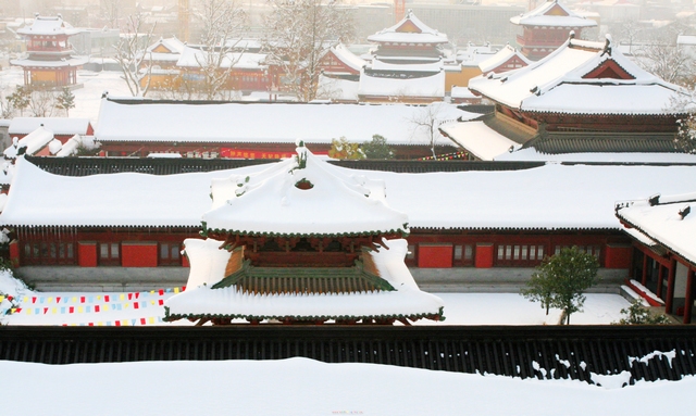 雪霁 摄影 河畔仙人