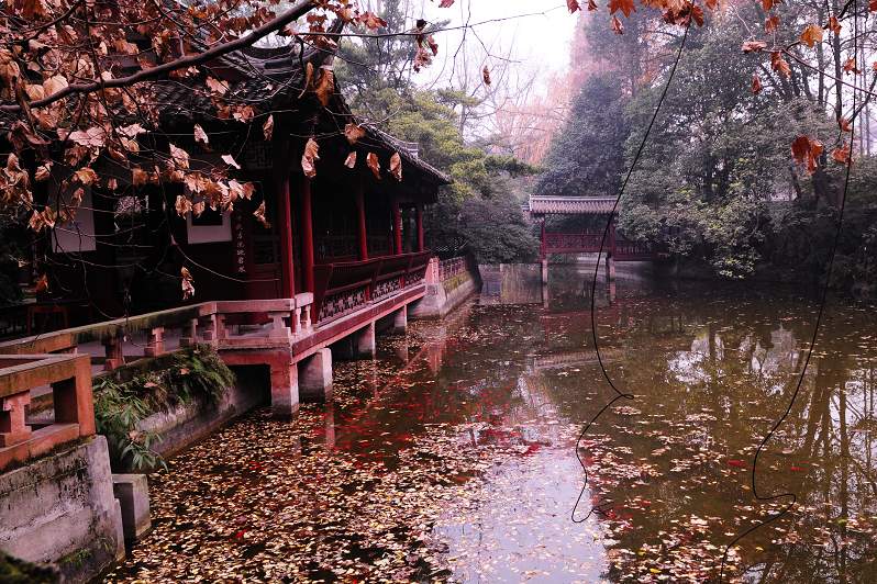 陆游祠 祟州 4. 摄影 老.三成