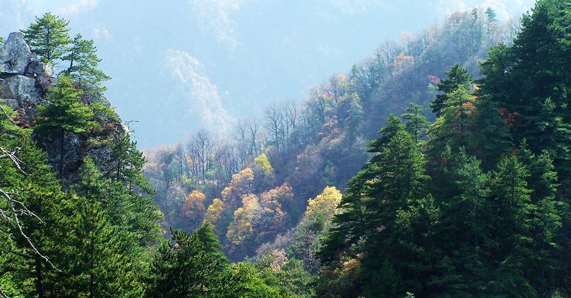 秦岭秋色 摄影 西部老土