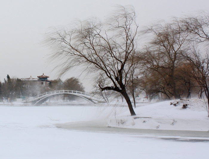 水上雪景（十六） 摄影 锦绣江山