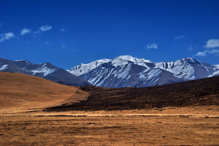 祁连山下好牧场 摄影 又见华南虎