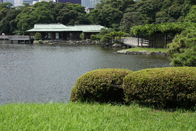 日本庭院 摄影 卡擦一声