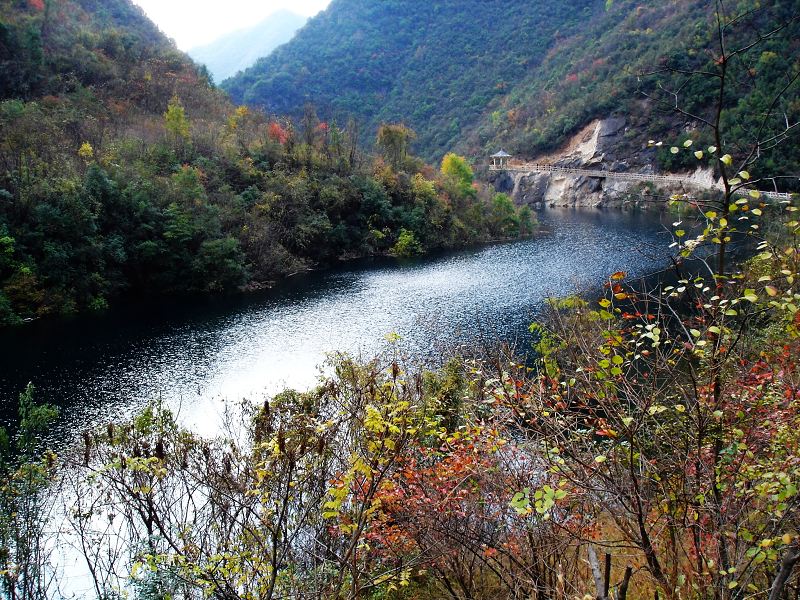 五龙河28 摄影 冷香茶