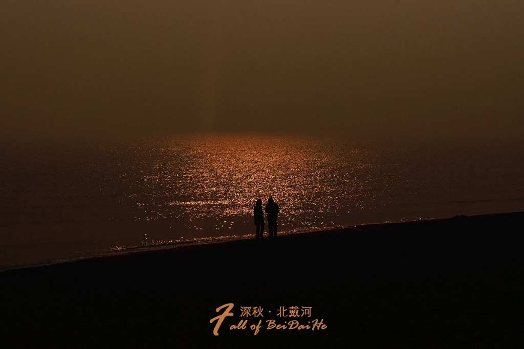 陪你看夕阳 摄影 会上树的猪