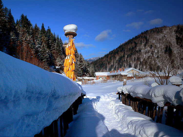 <瑞雪丰年> 摄影 长春别克