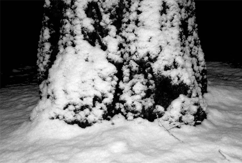 雪夜——17 摄影 独上江楼望月