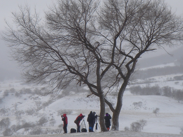 坝上冬雪 摄影 草原老张