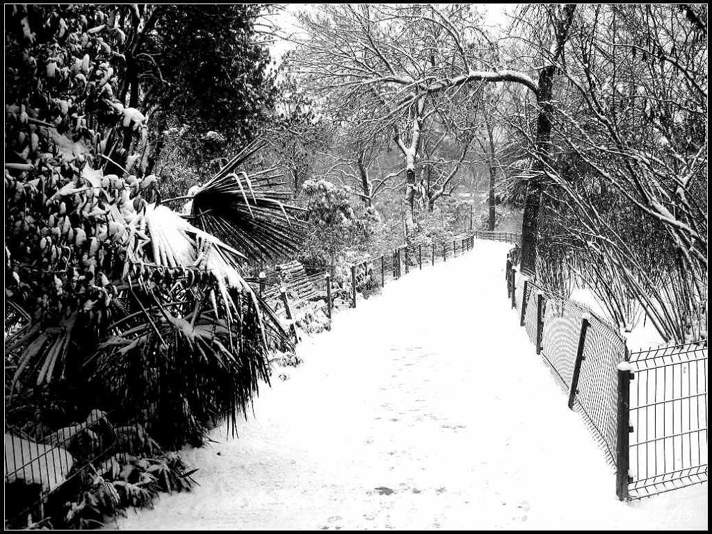 雪径 摄影 阳光灿烂中