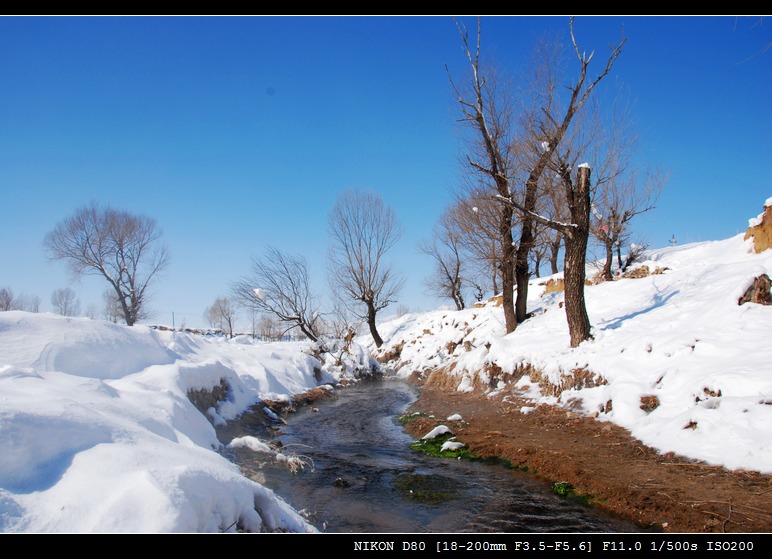 雪景 摄影 浪漫罗丹