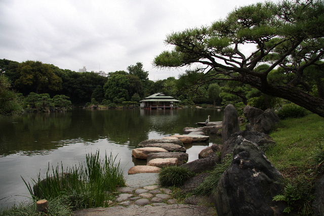 日本庭院 摄影 卡擦一声