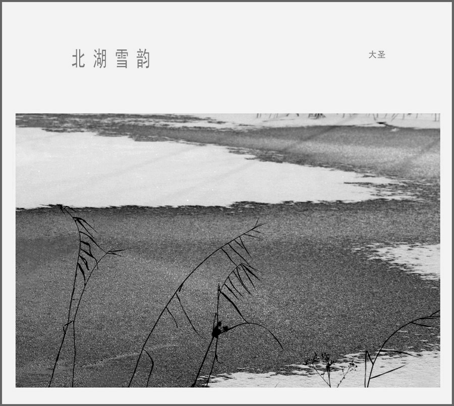 冬季北湖《3》雪韵 摄影 大圣