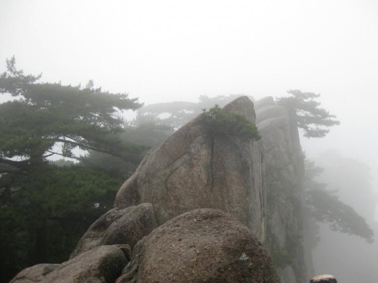 雨中黄山始信峰 摄影 绿草萍