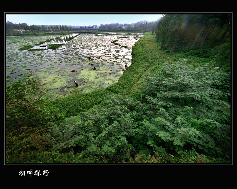 湖畔绿野 摄影 银--河