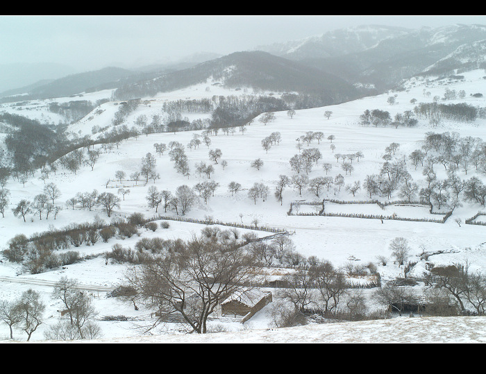 雪坝 摄影 渐天如水