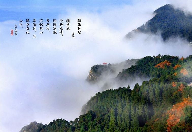 云涌匡庐秋 摄影 梨花雨