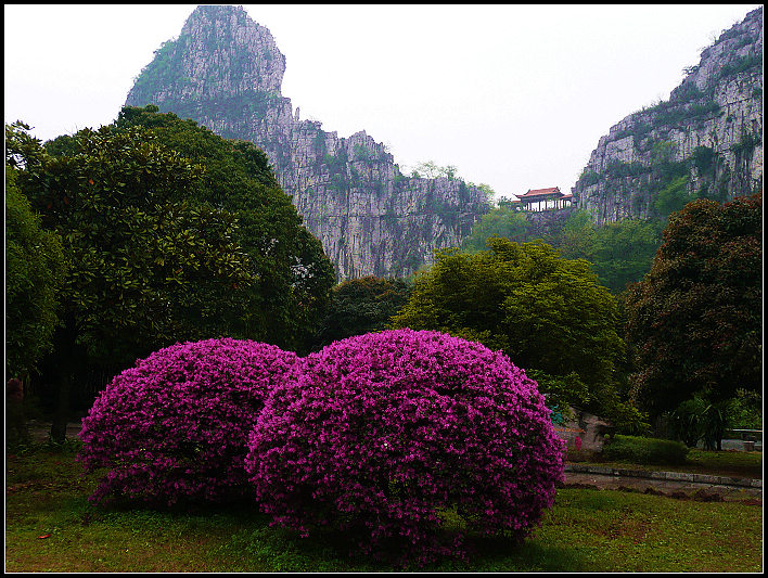 南溪山一风景 摄影 小山鹰