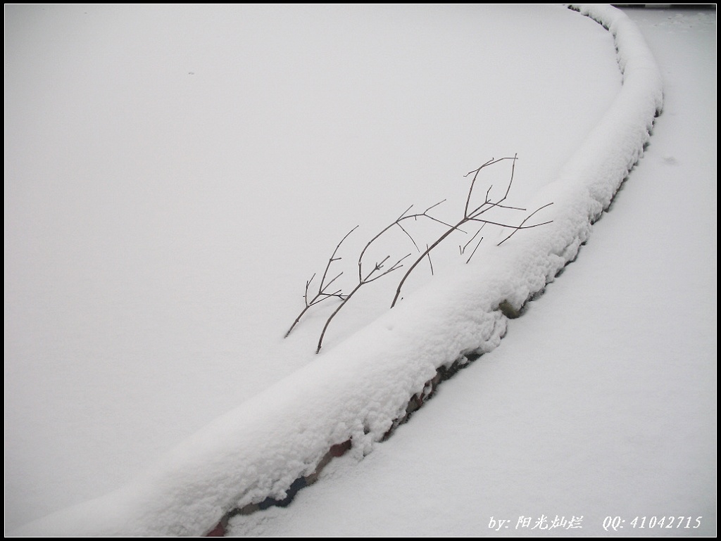 雪的线条 摄影 阳光灿烂中