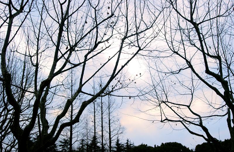冬日的天空 摄影 远放