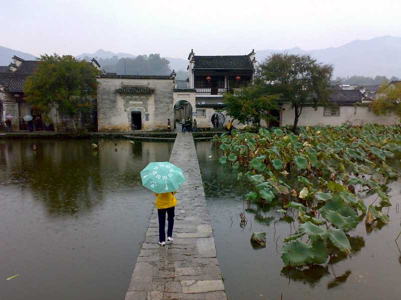 在雨中 摄影 难得胡涂