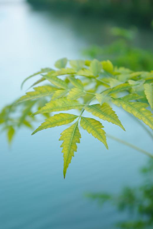 k-m随拍 摄影 晴天雨天