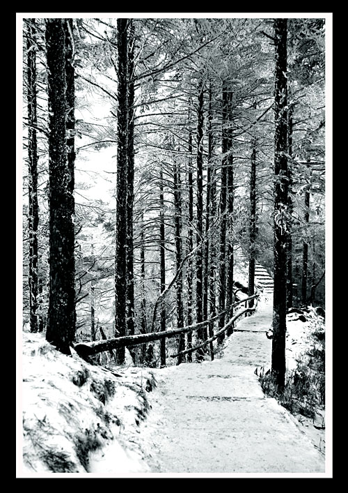 空山雪 摄影 海波湛蓝