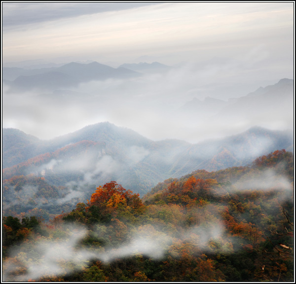 秋色 摄影 黄土地