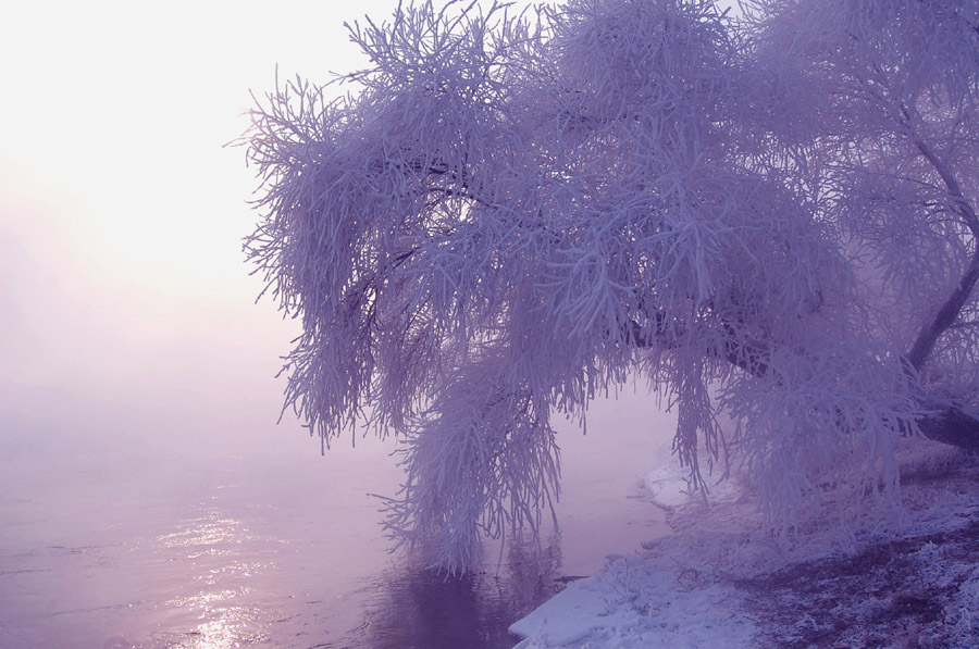 踏雪寻淞满江情 摄影 巴虎邨人