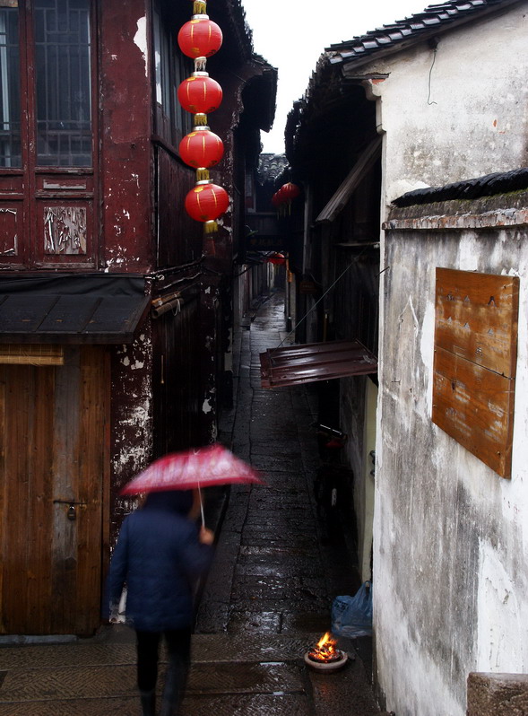 冬雨清晨 摄影 喜庆